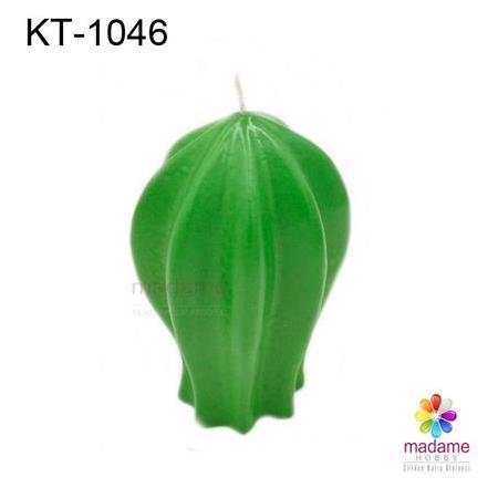 Kaktüs Silikon Kalıbı KT-1046